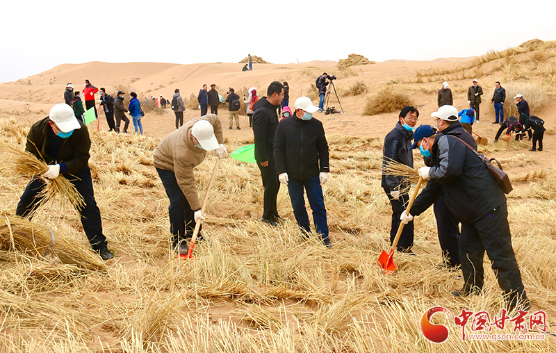 不“疫”樣的植樹節(jié)！甘肅省新聞戰(zhàn)線工作者攜手播綠“八步沙”（圖+視頻）