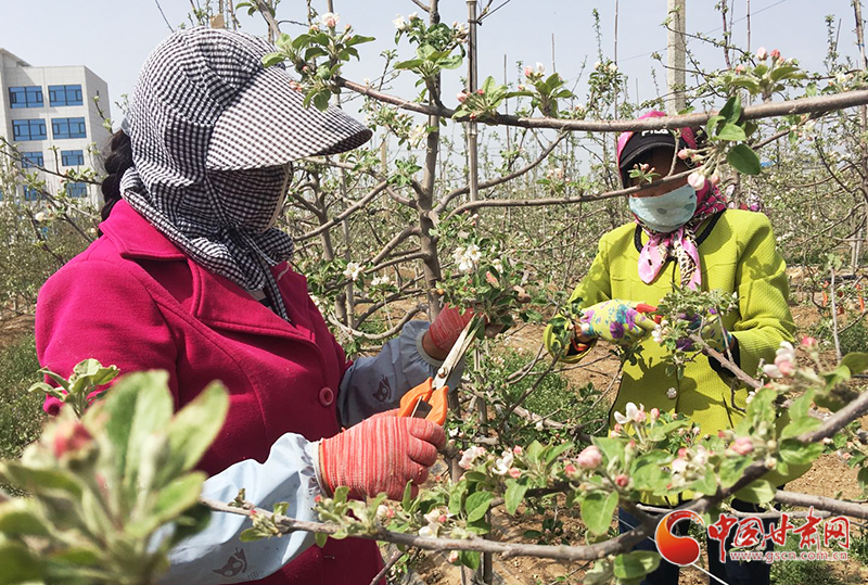 【甘肅省決戰(zhàn)決勝脫貧攻堅(jiān)】靈臺模式：盤活勞務(wù)內(nèi)生動(dòng)力 助力脫貧攻堅(jiān)之戰(zhàn)（圖）