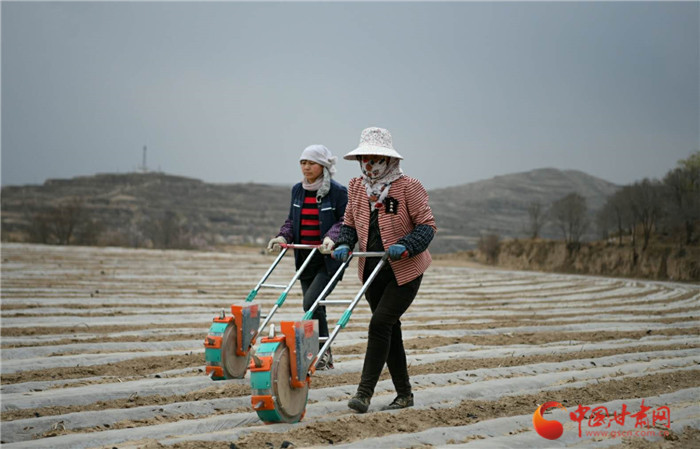 【甘肅省決戰(zhàn)決勝脫貧攻堅】蘭州榆中：加快農業(yè)產業(yè)轉型升級帶動群眾增收致富