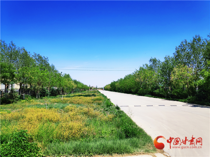 【甘肅省決戰(zhàn)決勝脫貧攻堅】從“養(yǎng)羊”到“吃羊”：武威涼州這家企業(yè)形成產(chǎn)業(yè)閉環(huán)抗風險