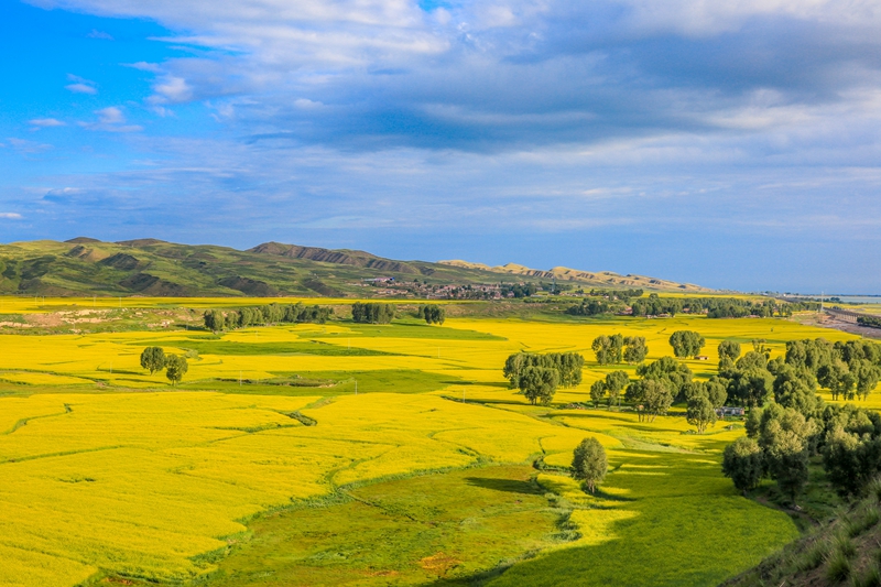 創(chuàng)意海報(bào)丨甘肅的美，你來(lái)了才知道