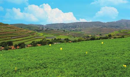 推動產(chǎn)業(yè)扶貧 堅決打贏脫貧攻堅戰(zhàn)