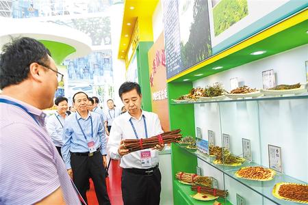 甘肅推動(dòng)實(shí)施“六大特色農(nóng)業(yè)產(chǎn)業(yè)”精準(zhǔn)脫貧追蹤報(bào)道之藥產(chǎn)業(yè) 開出治窮“良方子”