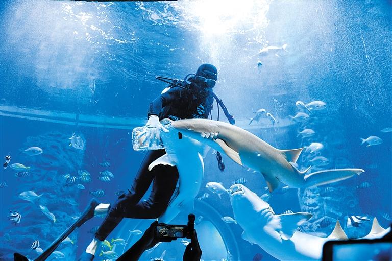 蘭州海洋公園 金昌火星1號(hào)基地 這個(gè)暑假我們“上天入?！?>
        </a><em>蘭州海洋公園 金昌火星1號(hào)基地 這個(gè)暑假我們“上天入?！?/em></li>
    <li><a  target=