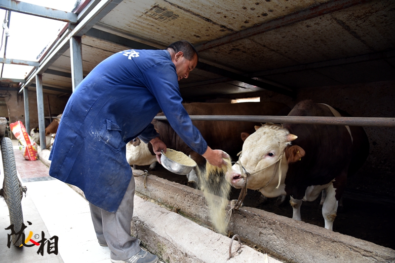 【隴人相】脫貧路上的實(shí)干家——“?！比笋R占清