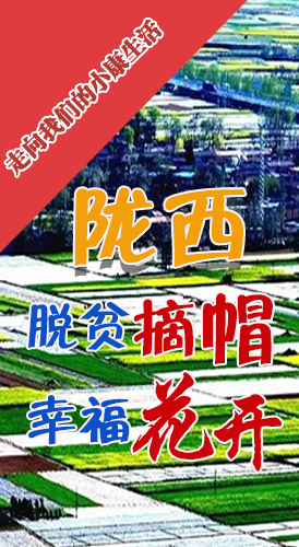 【走向我們的小康生活】長(zhǎng)圖|隴西：脫貧摘帽 幸?；ㄩ_