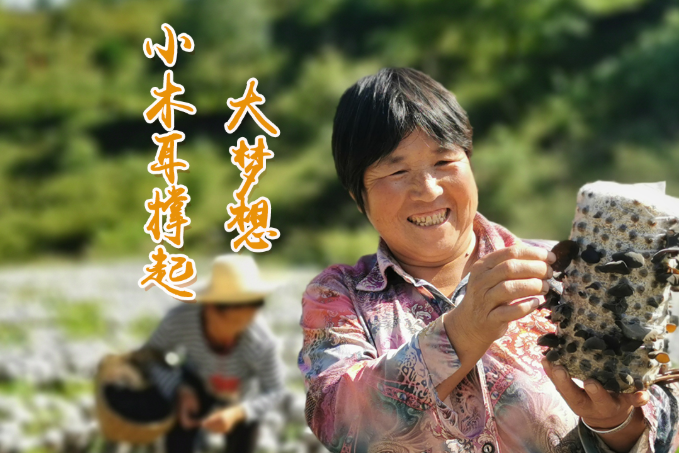 海報丨他們，乘“豐”破浪！