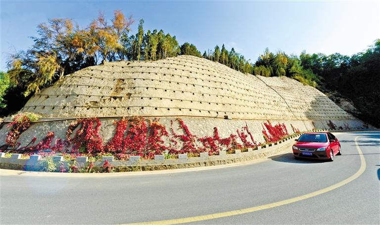 近90度陡坡上種樹！蘭州南北兩山綠化出新招