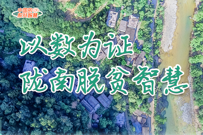 【中國的脫貧智慧】以數(shù)為證！隴南脫貧智慧來了！