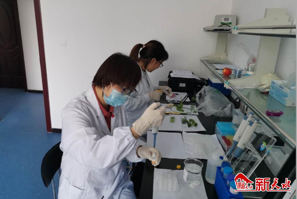 天水市市場監(jiān)管局開展“消費(fèi)扶貧”食品專項監(jiān)督抽檢