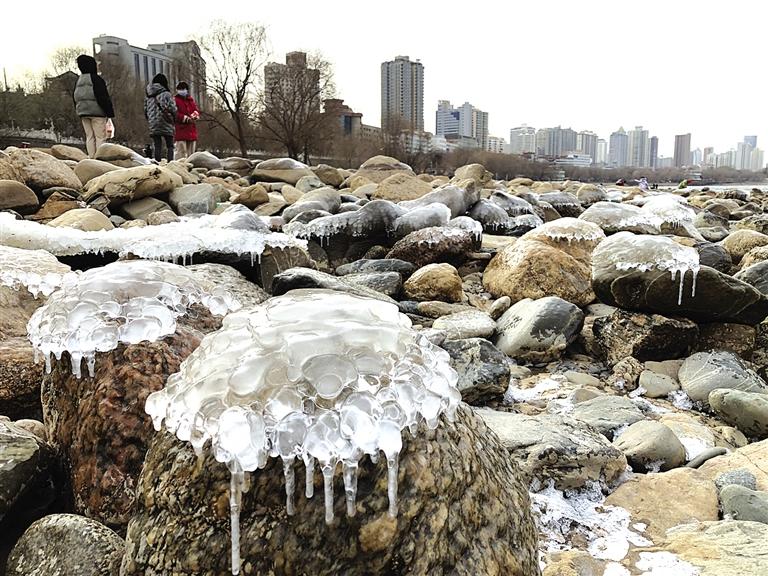 蘭州：水母上河灘？