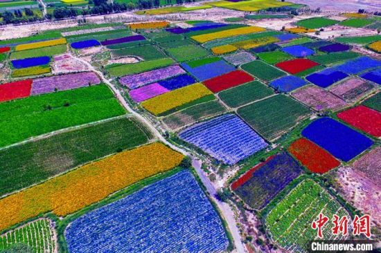 甘肅酒泉：除了天時(shí)地利，還有一“種”力