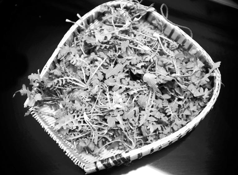 甘肅美食丨摘野菜，咬個“春”，讓味蕾清新起來