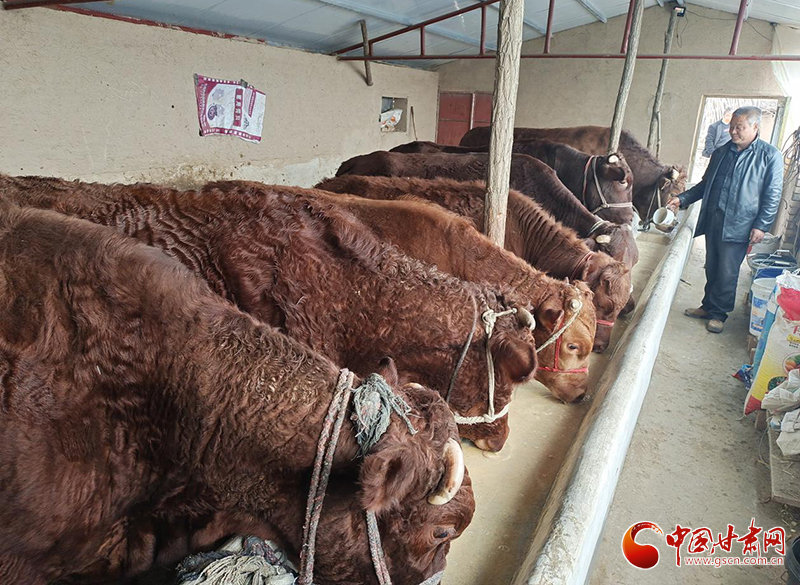 平?jīng)鰶艽ǎ骸芭！碑a(chǎn)業(yè)鋪就致富路