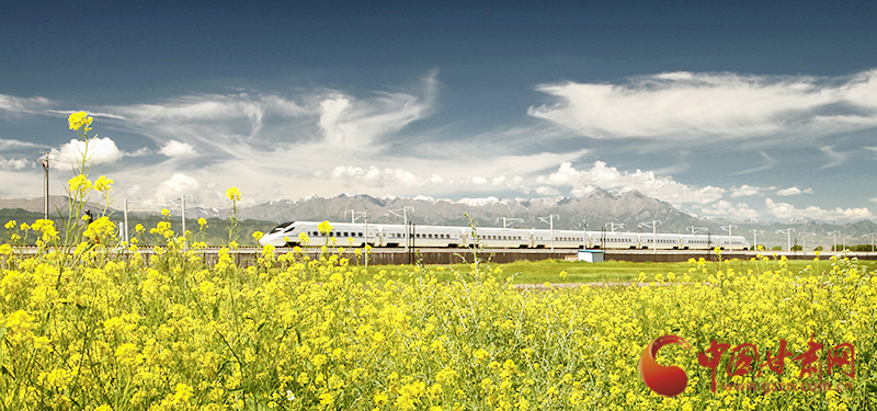 坐上火車“邂逅”春天，你可以這樣享“鐵路游”