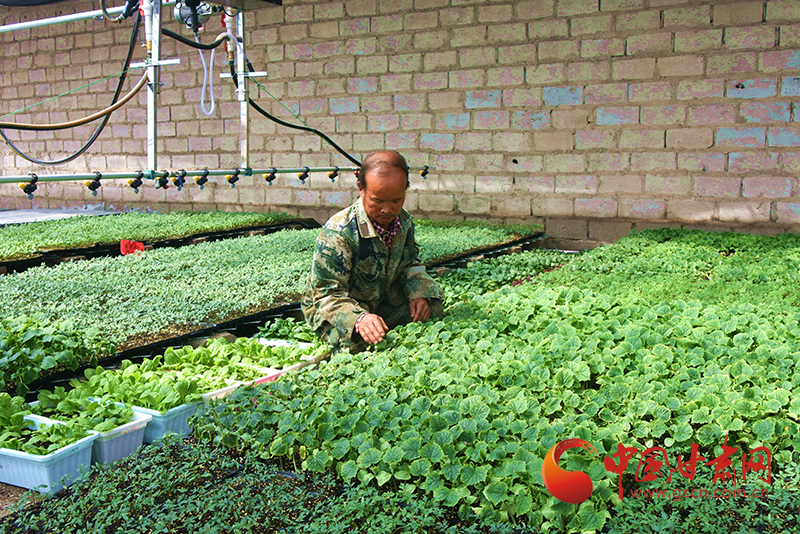 瓜州：學黨史辦實事 讓產(chǎn)業(yè)分紅資金曬在陽光下
