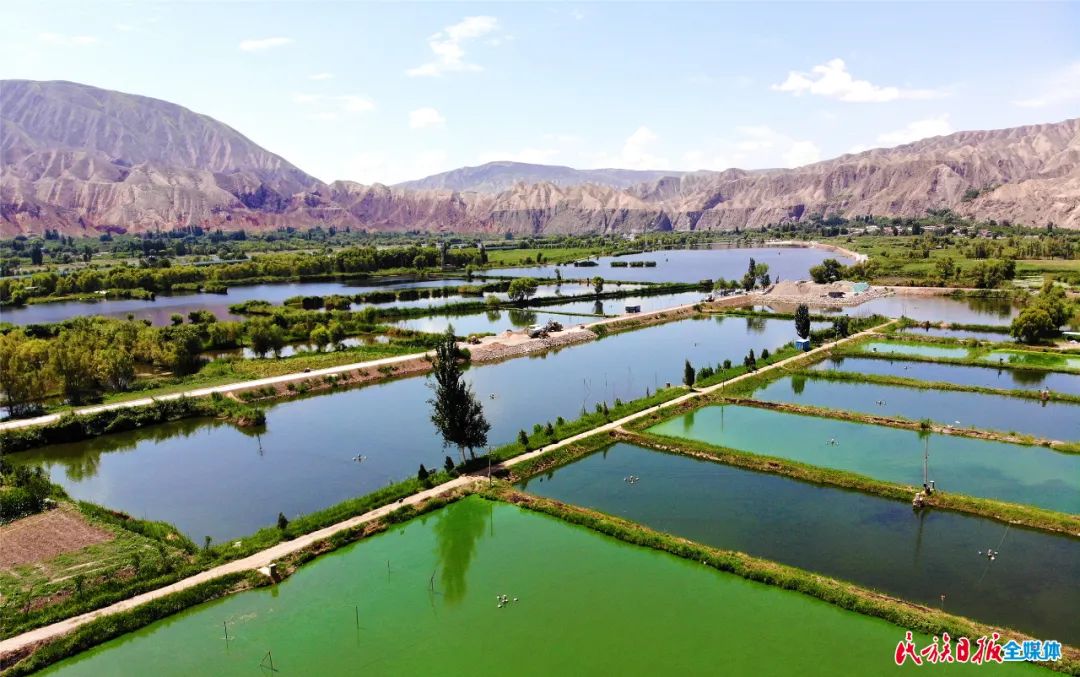 一秒入畫！太極島濕地風光秀麗