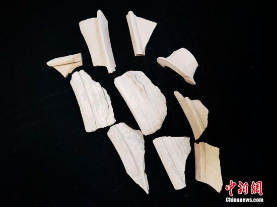 圖為靜寧縣賈河鄉(xiāng)竇坪村出土的彩陶片、紅陶片。 夏劍鋒 攝