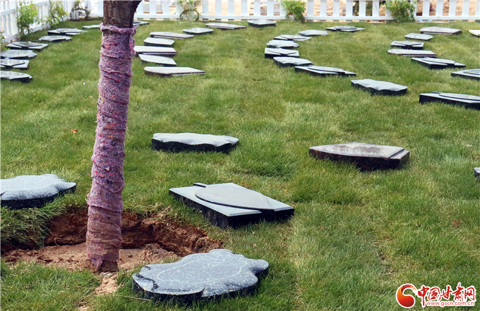 蘭州市城關區(qū)消協(xié)發(fā)布清明消費提示