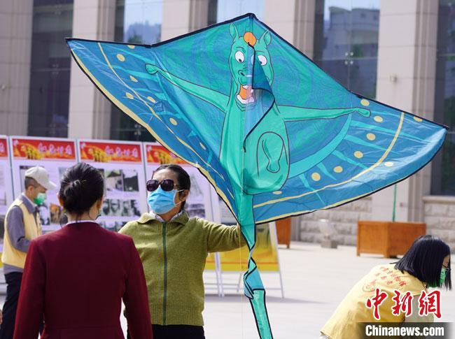 5月18日，甘肅省博物館為觀眾免費發(fā)放文創(chuàng)產(chǎn)品“綠馬飛俠”風(fēng)箏。　 九美旦增 攝