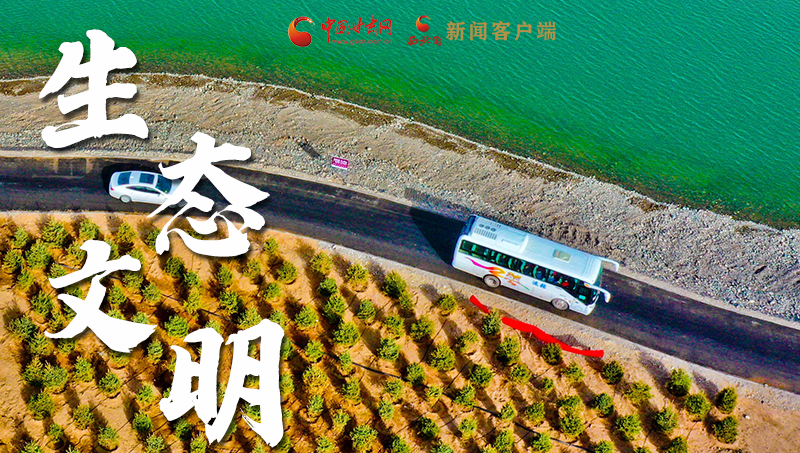 彈幕海報丨熱議甘肅省委十三屆十六次全會 網(wǎng)民聲音在回響！