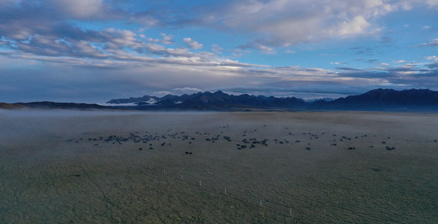 甘肅山丹馬場：峽谷云霧似仙境。 王超攝