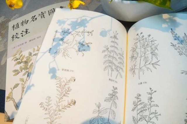 《植物名實圖考校注》內頁。圖片來源：中華書局供圖