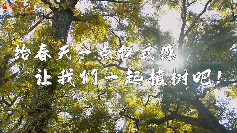 短視頻|給春天一點(diǎn)儀式感，讓我們一起植樹吧！