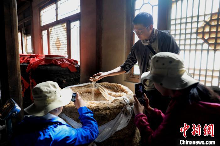 圖為青稞酒文化展示。　薛蒂 攝