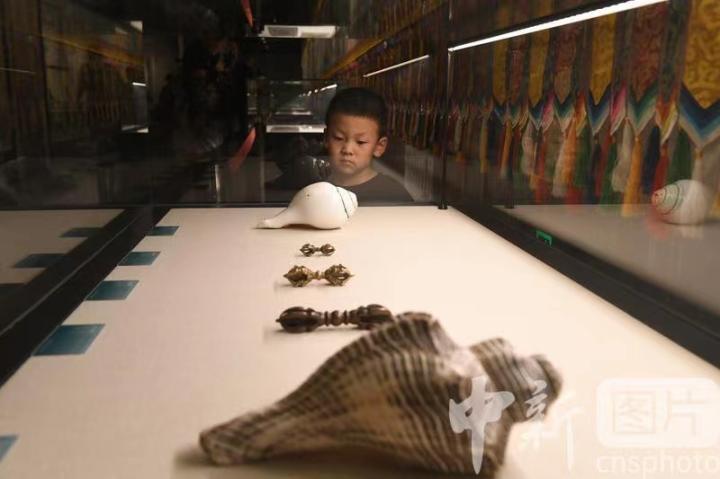 圖為展出的“白海螺法器”吸引小觀眾。 中新社記者 戴文昌 攝