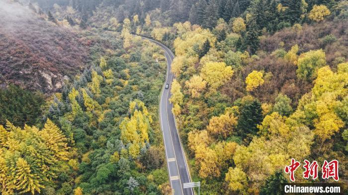 深秋，航拍位于蘭州市榆中縣的興隆山，景色如畫。金峯 攝</p>
<p>