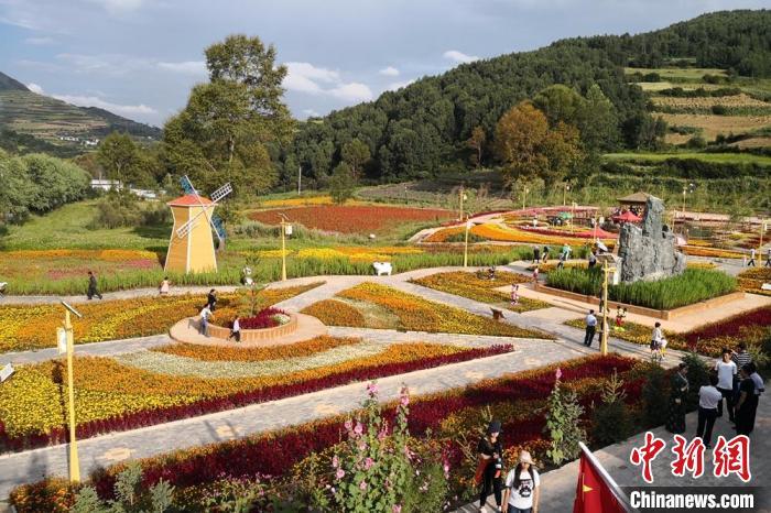 圖為航拍甘肅甘南臨潭縣八角鎮(zhèn)，花海吸引游人。(資料圖)高展 攝