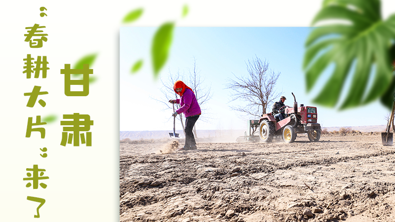 【甘快看】海報(bào)|瞧!甘肅“春耕大片”來(lái)了