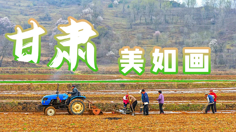 微海報(bào)|甘肅，美如畫