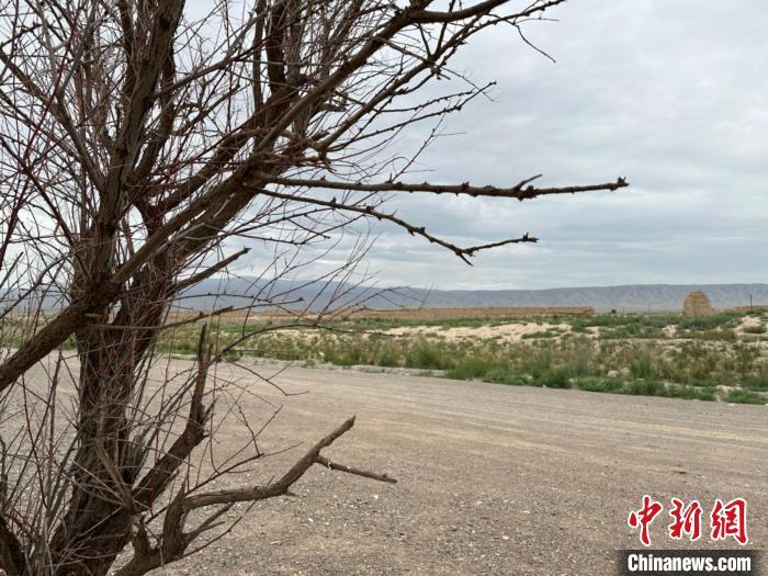 圖為位于長(zhǎng)城墻體上的“馬面”或“敵臺(tái)”?！〈魑牟?攝