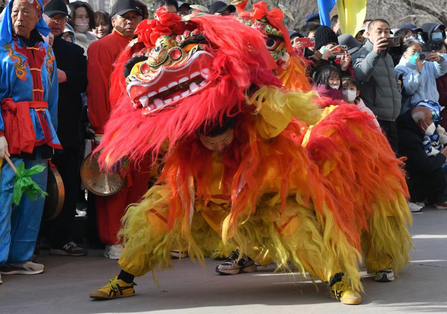 蘭州北獅表演現(xiàn)場(chǎng)。受訪者供圖