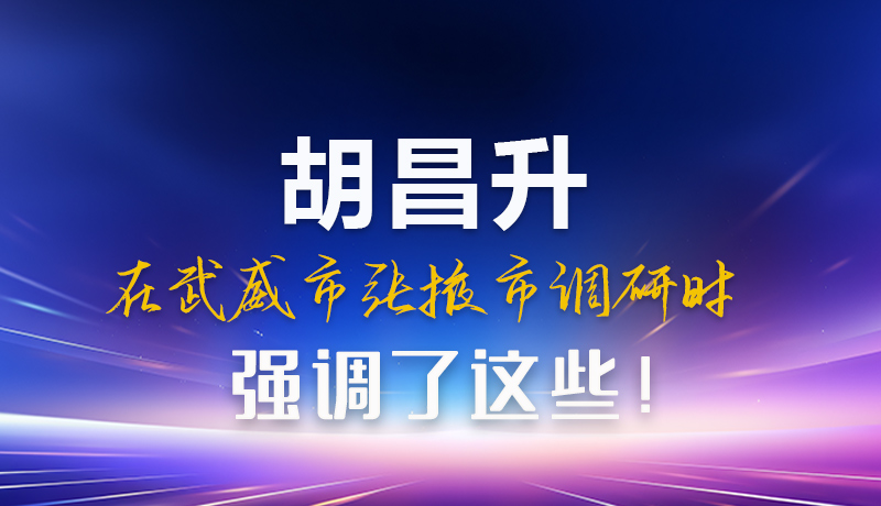 圖解|胡昌升在武威市張掖市調(diào)研時強調(diào)這些！