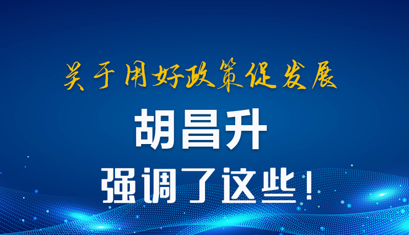 圖解|關于用好政策促發(fā)展 胡昌升強調了這些！