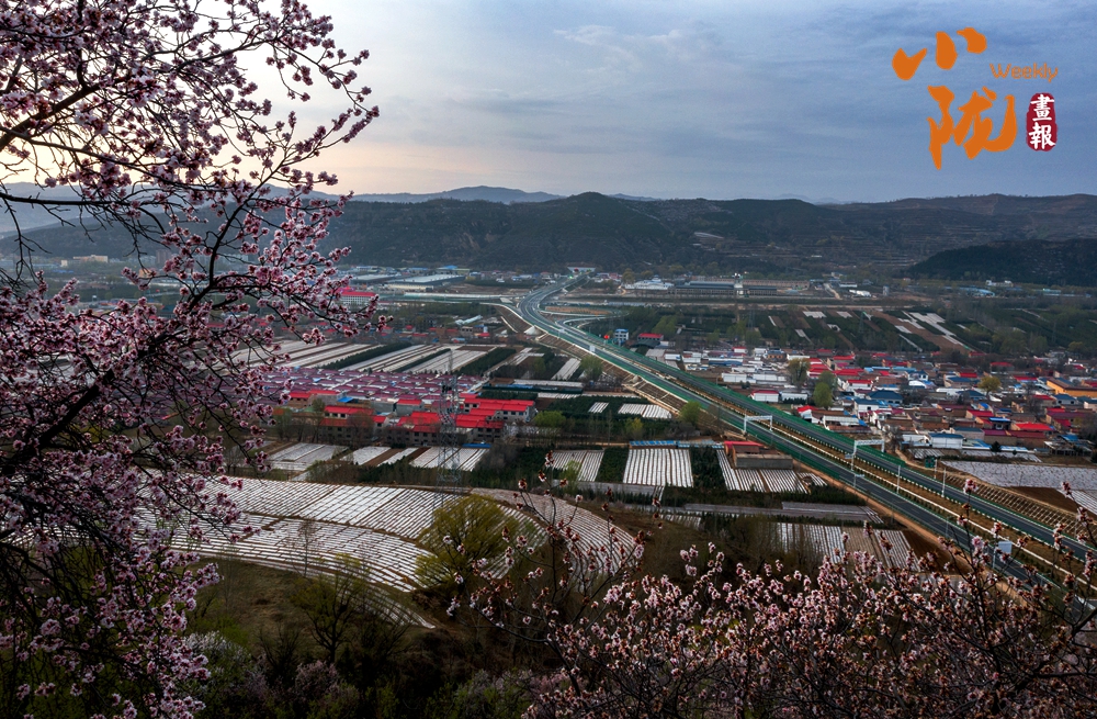 【小隴畫(huà)報(bào)·496期】走進(jìn)康樂(lè)：邂逅山水間的天然清涼
